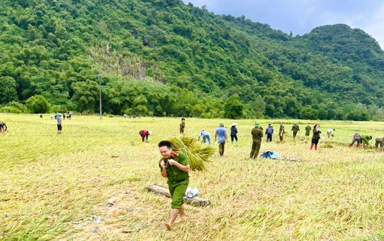 C&ocirc;ng an Thanh H&oacute;a gi&uacute;p d&acirc;n gặt l&uacute;a "chạy" b&atilde;o số 10 Bualoi- Ảnh 7.