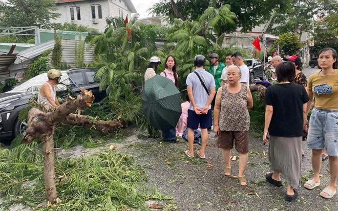 Giông lốc khiến cây phượng bất ngờ gãy đổ đè 1 cháu bé bị thương