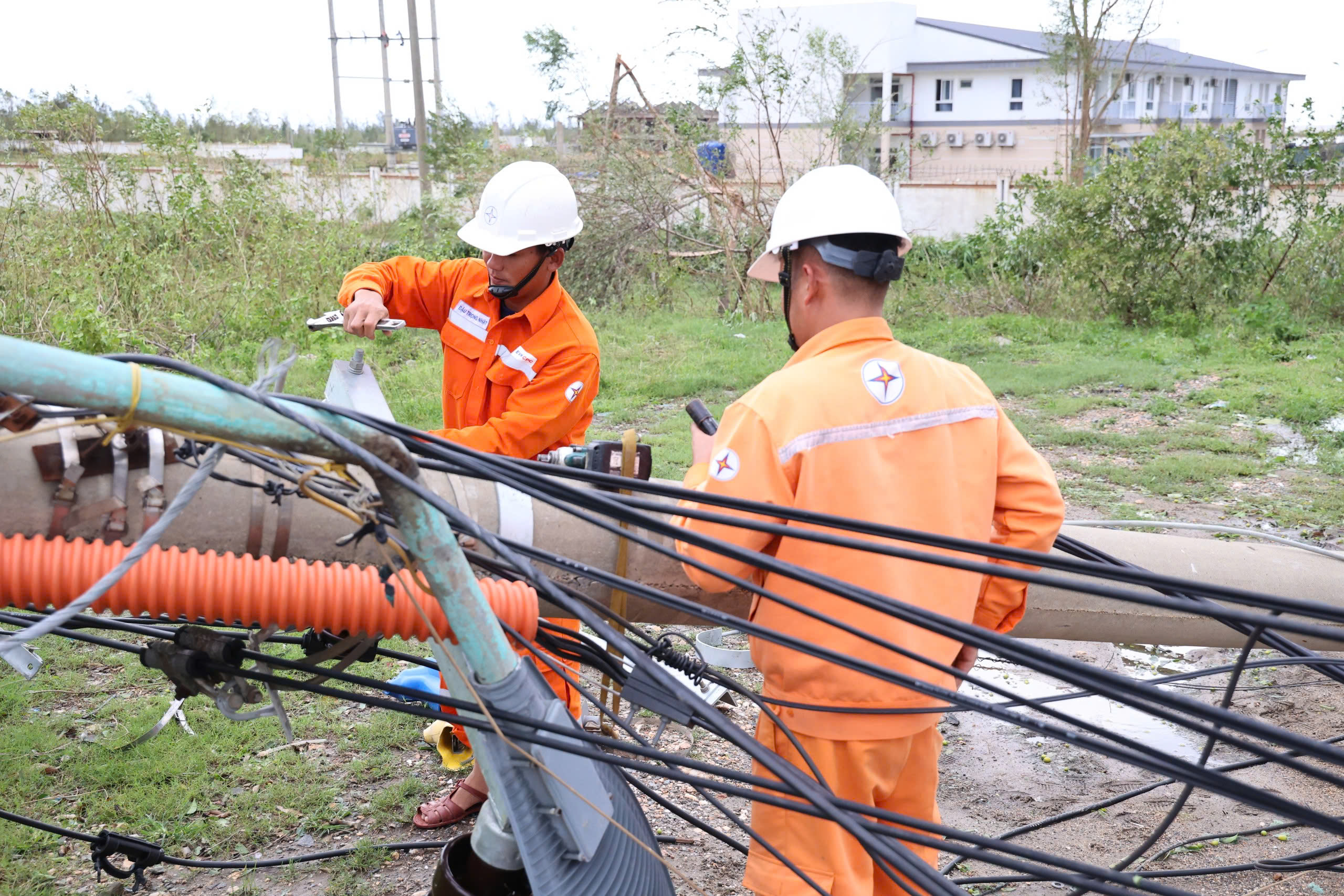 Bão số 10 ở Quảng Trị: Hơn 227.000 hộ mất điện, công nhân xuyên đêm khôi phục- Ảnh 3.