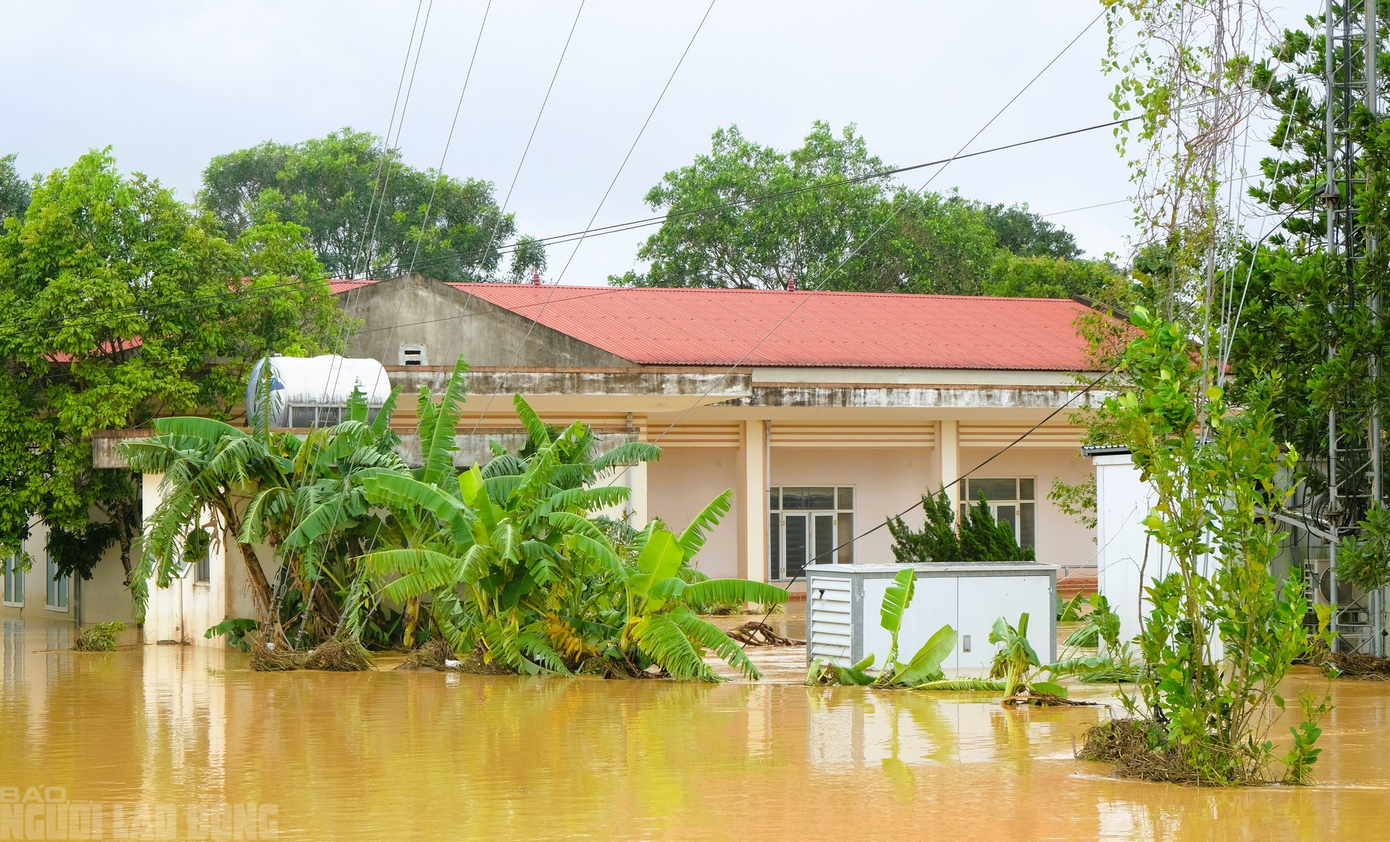 Một xã ở Thanh Hóa có hơn 3.000 ngôi nhà chìm trong biển nước - Ảnh 17.
