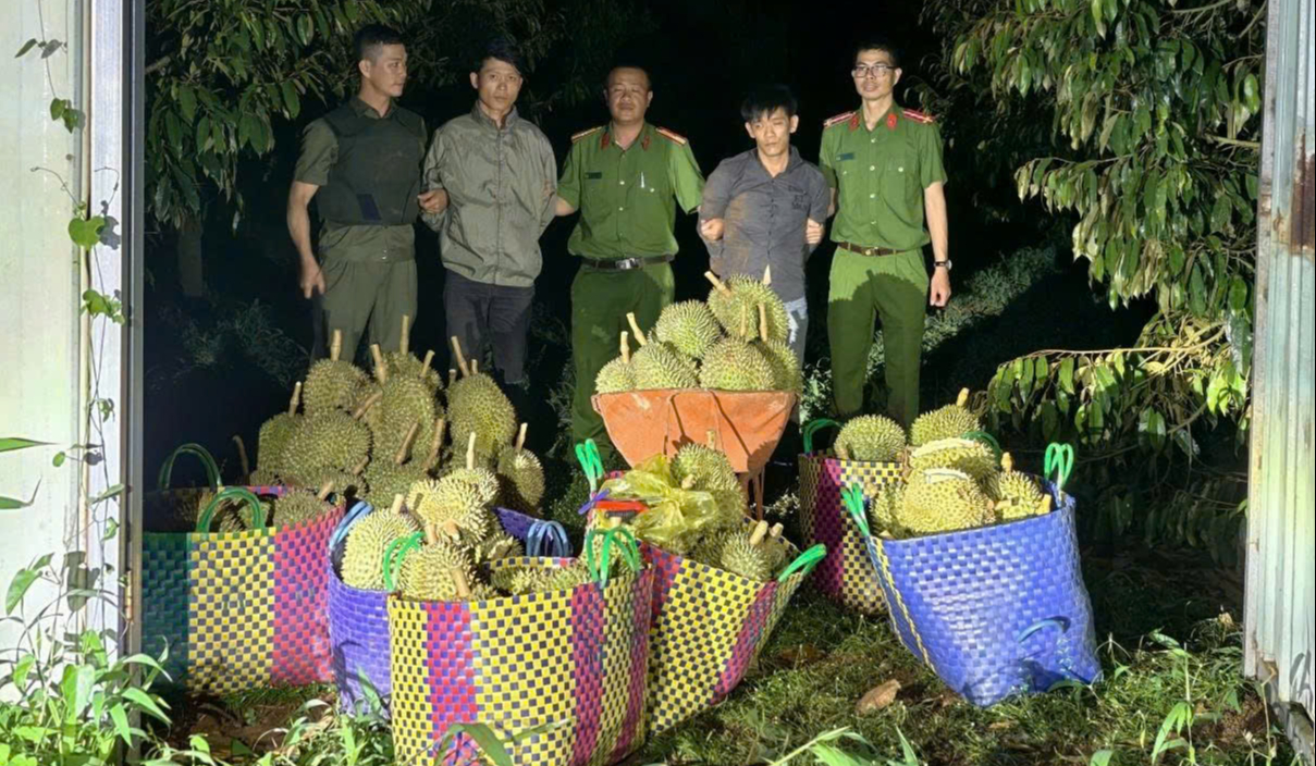 Hai thanh niên mang cả ô tô đi trộm cắp sầu riêng - Ảnh 1.