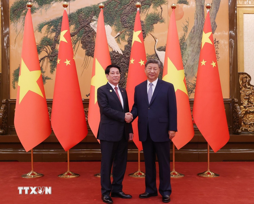 Chủ tịch nước Lương Cường hội đ&agrave;m với Tổng B&iacute; thư, Chủ tịch nước Trung Quốc Tập Cận B&igrave;nh - Ảnh 4.