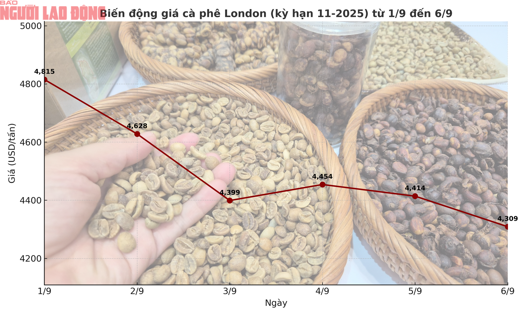 Gi&aacute; c&agrave; ph&ecirc; h&ocirc;m nay 6-9: Giảm 3 con số, tương lai thế n&agrave;o?- Ảnh 1.