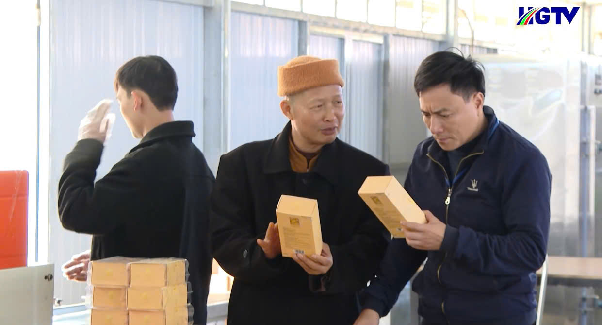 Trà Bancha Vân Phụng: Dòng trà tinh tế giữ trọn vẹn tinh hoa đất trời- Ảnh 3.