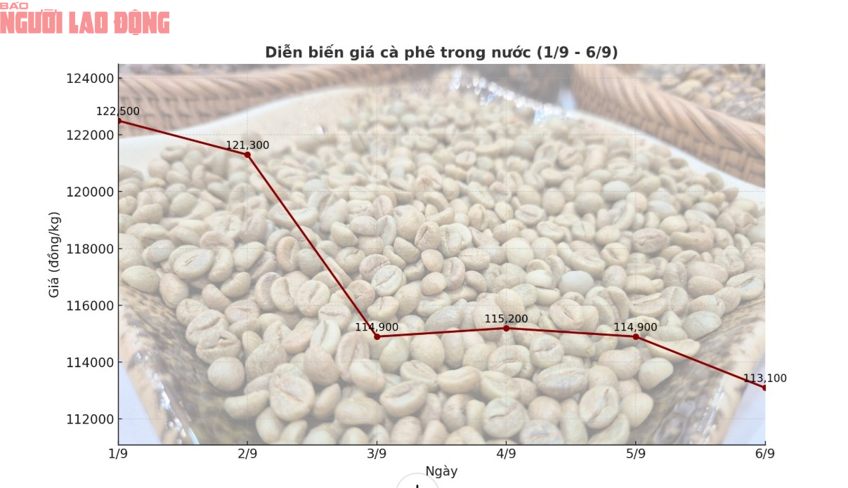 Gi&aacute; c&agrave; ph&ecirc; h&ocirc;m nay 7-9: Tuần buồn của người giữ c&agrave; ph&ecirc;- Ảnh 2.