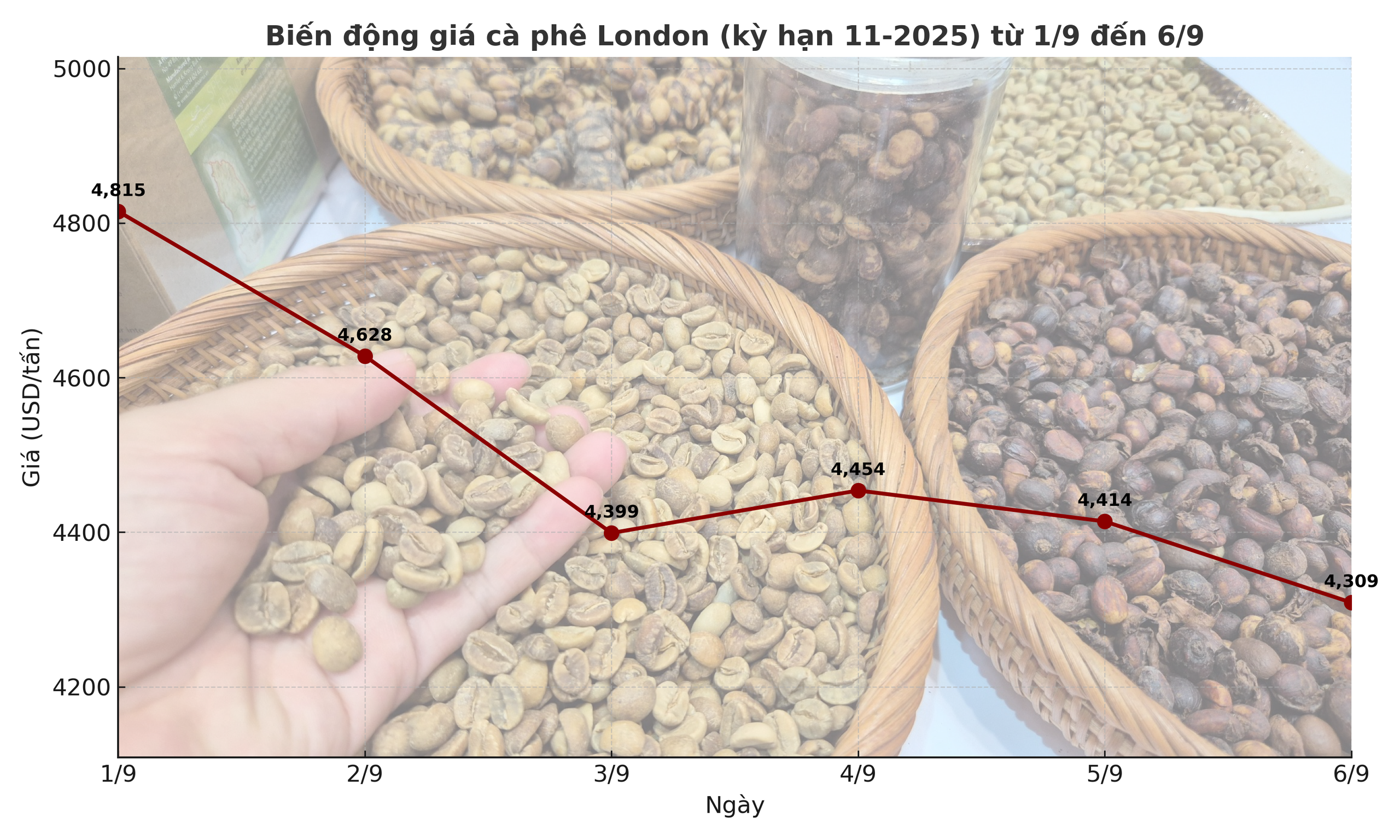 Gi&aacute; c&agrave; ph&ecirc; h&ocirc;m nay 7-9: Tuần buồn của người giữ c&agrave; ph&ecirc;- Ảnh 3.