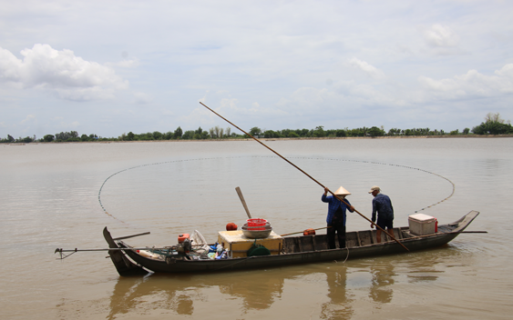 Rộn ràng mùa nước nổi
