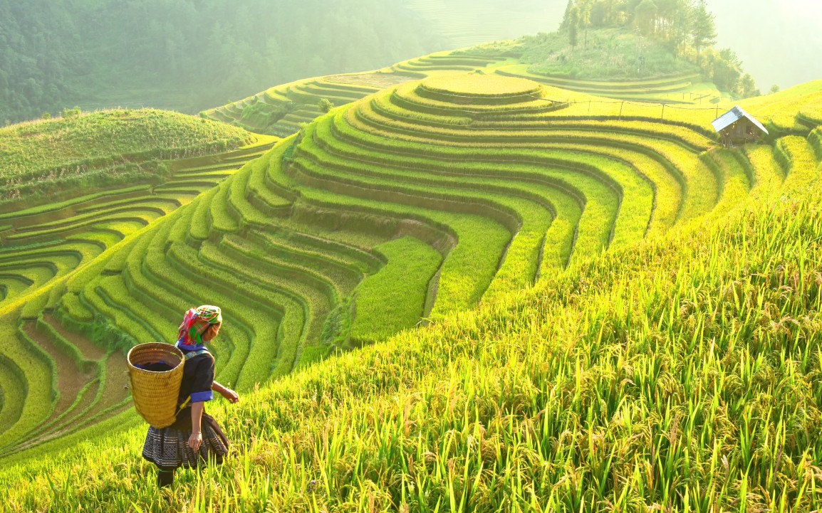 Si&ecirc;u đ&ocirc; thị du lịch đ&atilde; rất gần (*): Nhiều kiến giải từ thực tiễn - Ảnh 2.