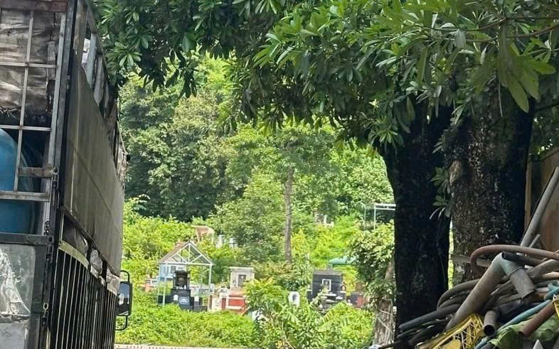 Phát hiện thi thể đang phân hủy trong nghĩa trang