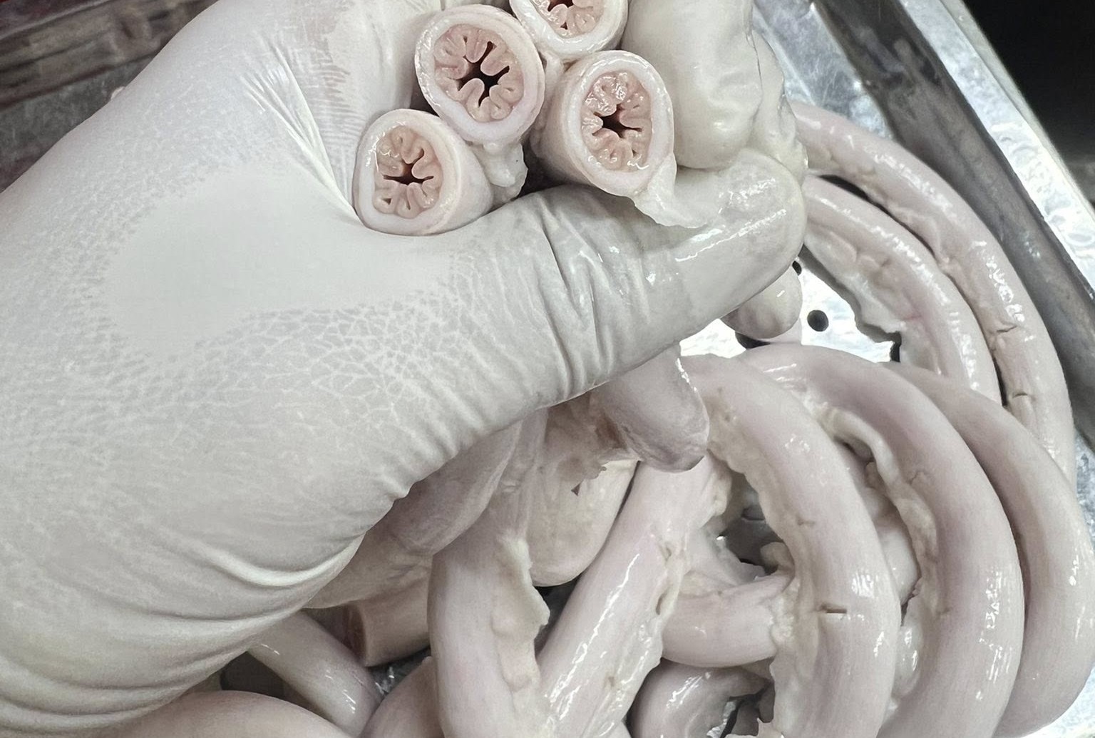 3 th&aacute;ng sau vụ l&ograve;ng se điếu g&acirc;y tranh c&atilde;i, L&ograve;ng "Ch&aacute;t" qu&aacute;n đ&oacute;ng cửa cơ sở gần 10 năm- Ảnh 3.