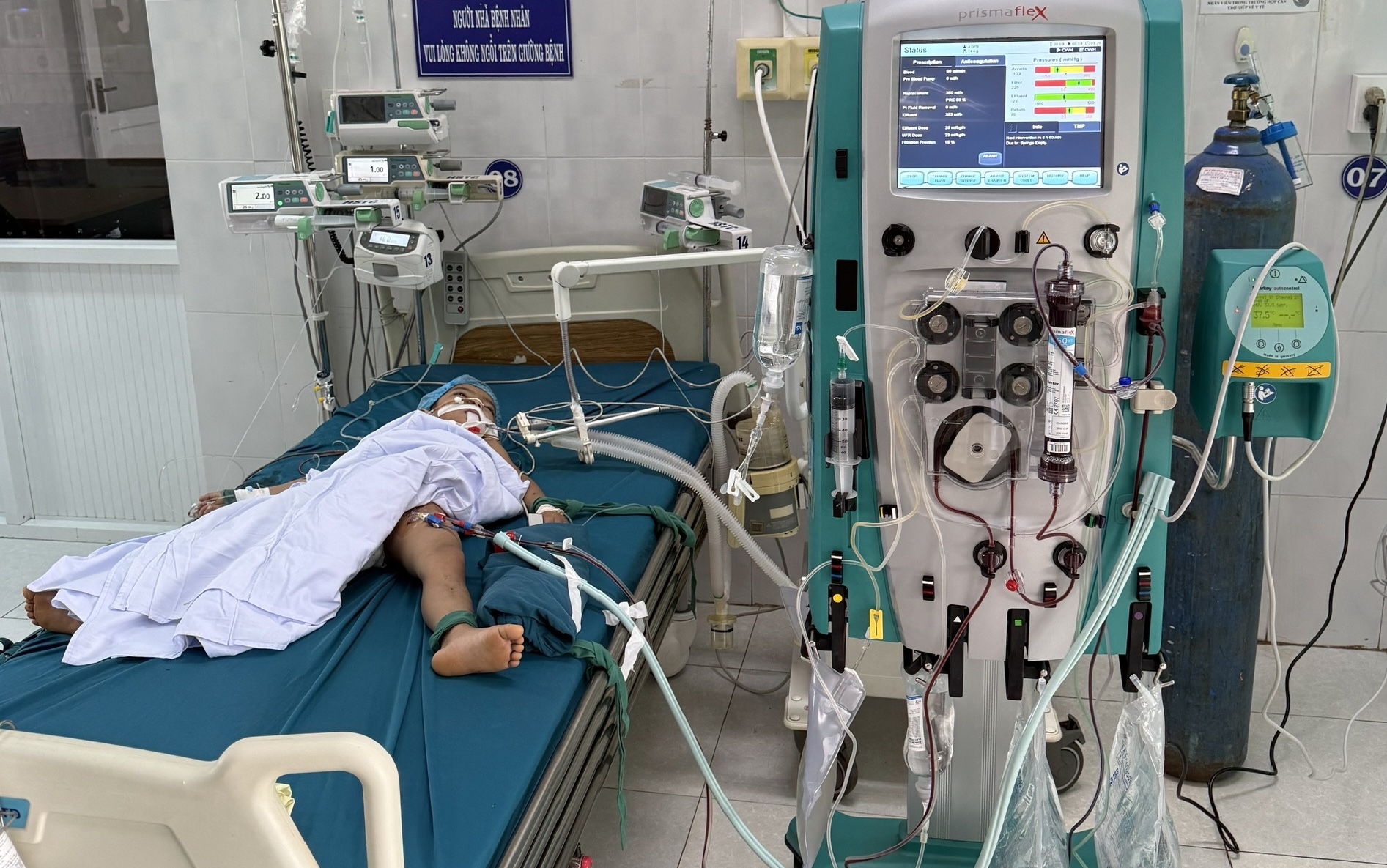 Ba em nhỏ bị ong tấn công, một bé tử vong thương tâm- Ảnh 1.