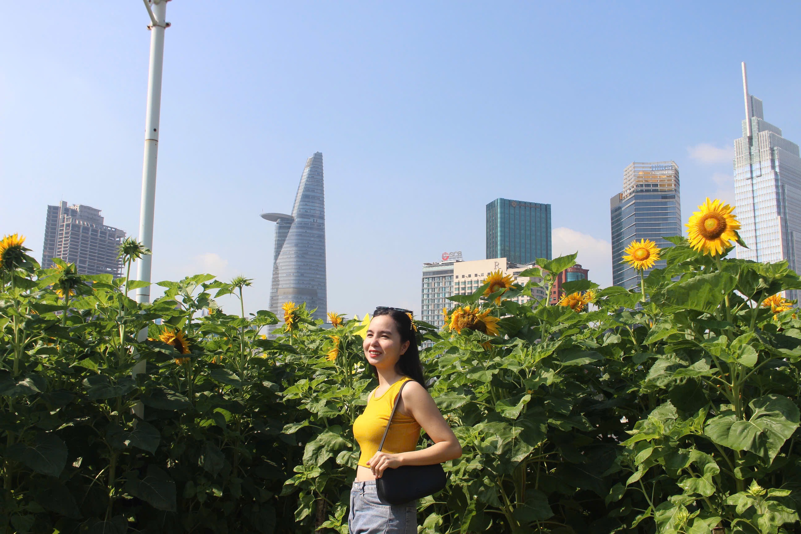 Cánh đồng hoa hướng dương ở TP HCM thu hút người dân dịp đầu năm mới - Ảnh 7.
