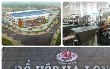 Bắt Tổng Giám đốc Công ty CP Đồ hộp Hạ Long vụ thịt nhiễm virus bệnh dịch tả heo châu Phi