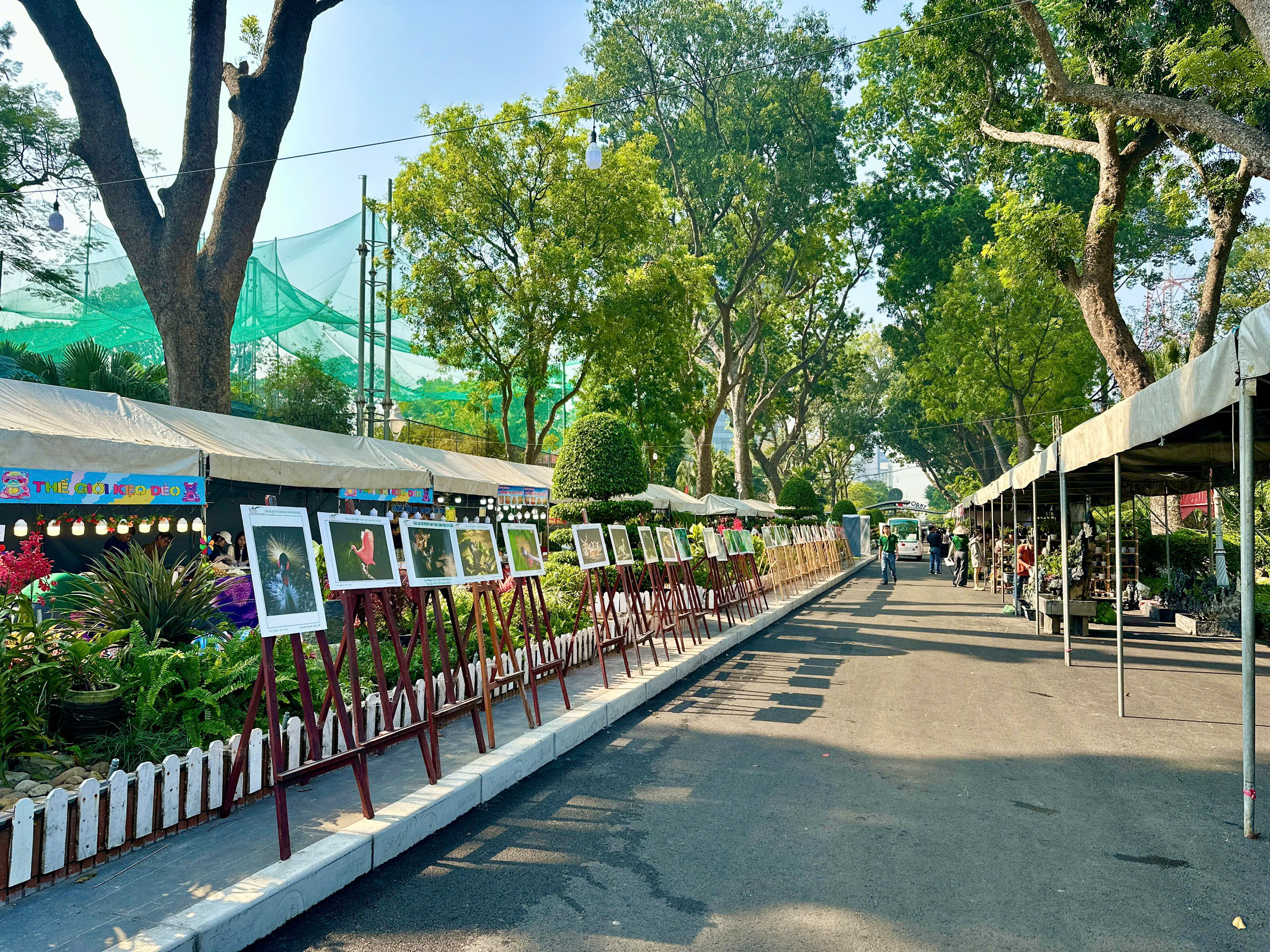 “Nghe lá hoa kể chuyện” tại Thảo Cầm Viên - Ảnh 1.