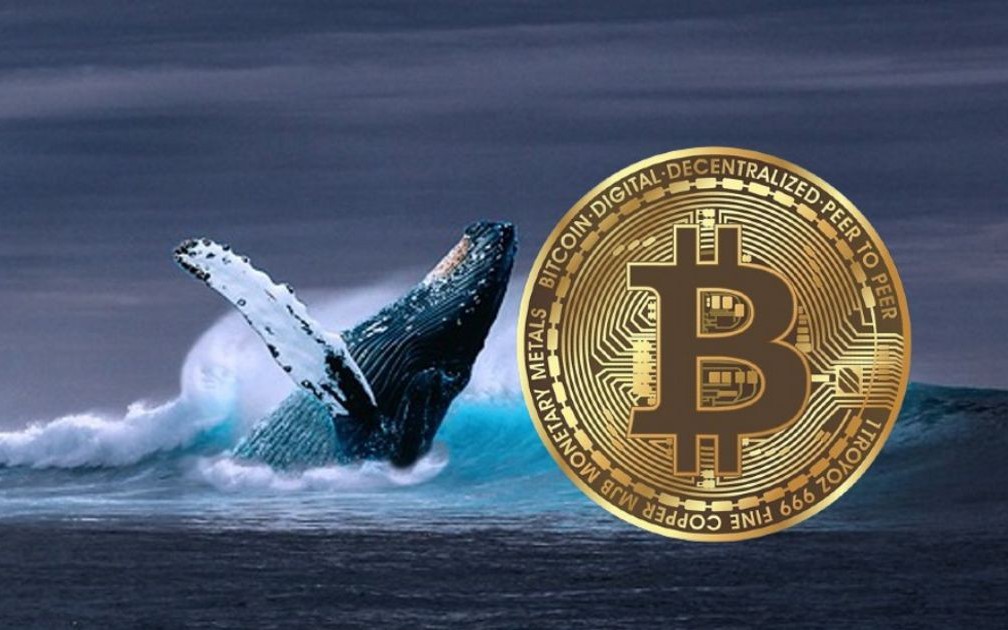 Bitcoin và tác động từ điều tra Chủ tịch Fed: Thị trường tiền số hôm nay 12 - 1 - Ảnh 1.