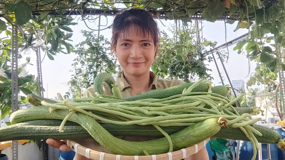 Khởi nghiệp online với cây giống, hoa kiểng Tết - Ảnh 1.