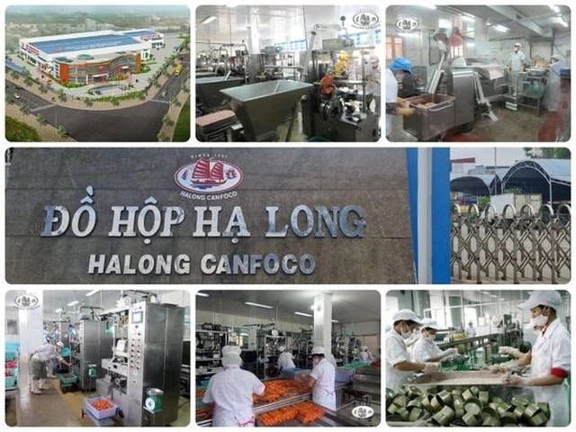 Hải Ph&ograve;ng siết chặt kiểm so&aacute;t Sau vụ thịt nhiễm dịch tả heo tại C&ocirc;ng ty CP đồ hộp Hạ Long - Ảnh 1.
