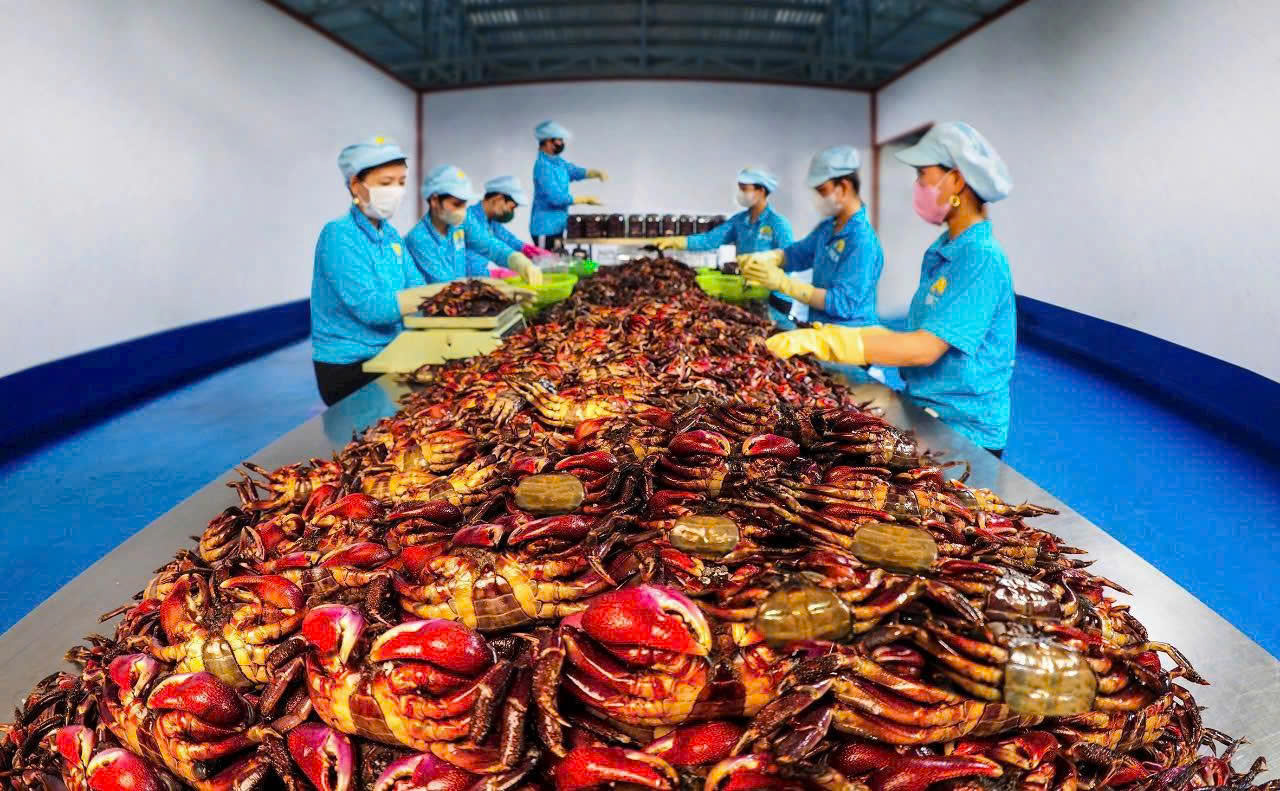 Sản phẩm OCOP đón đầu thị trường Tết - Ảnh 2.