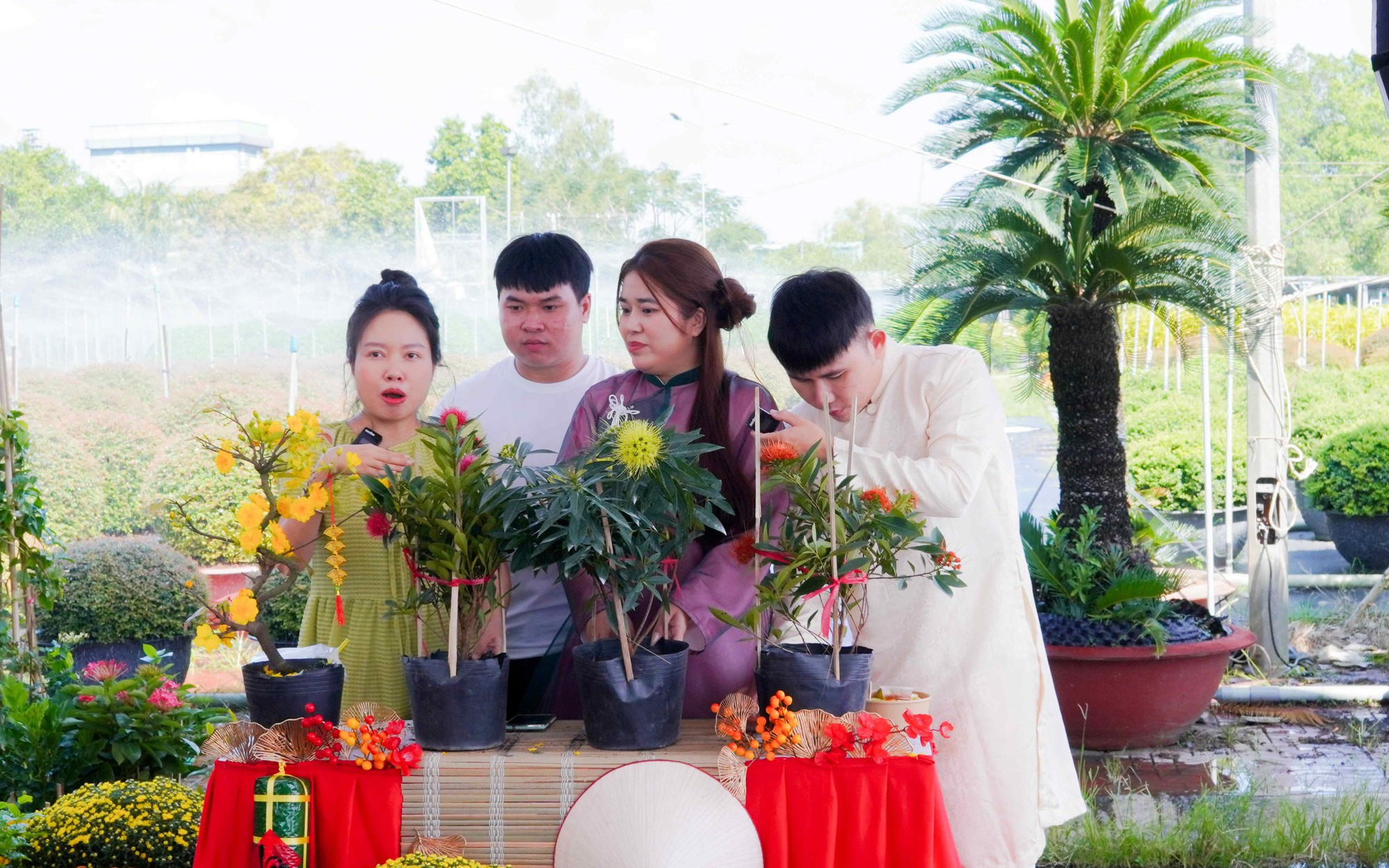 Hoa Tết “bùng nổ” trên TikTok Shop