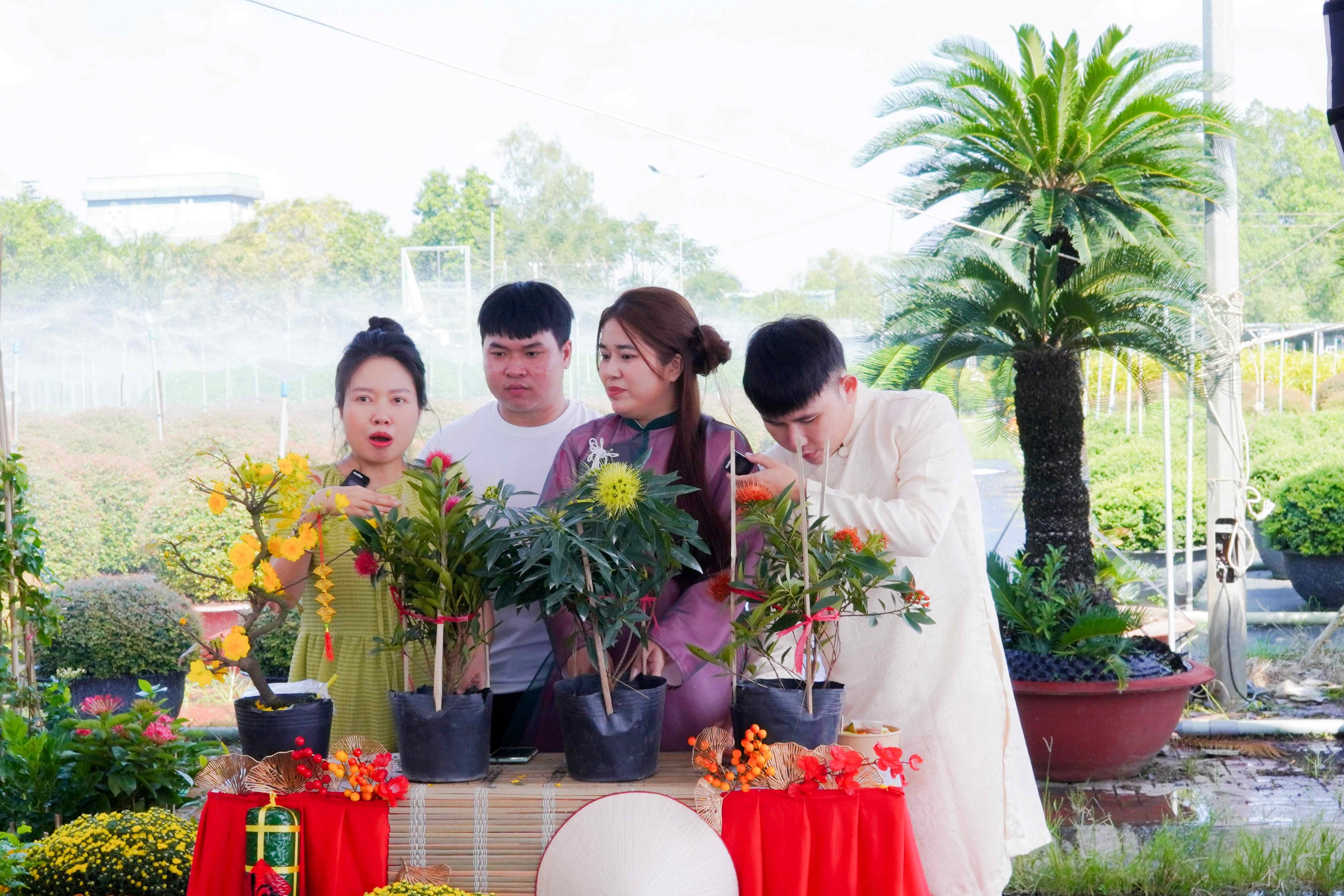 Hoa Tết “bùng nổ” trên TikTok Shop - Ảnh 2.