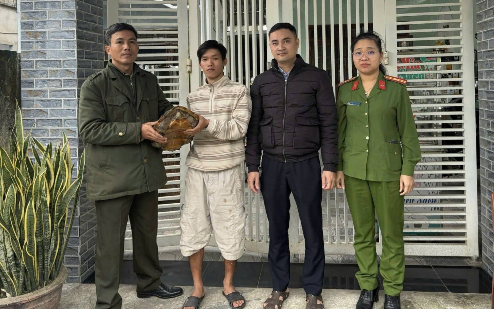 Người dân ở Đà Nẵng giao nộp con vật quý nặng 6,8 kg lạc trong vườn