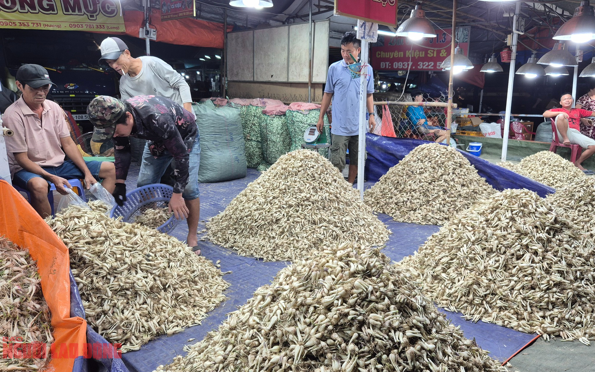 Cận cảnh khu chợ kiệu Tết lớn nhất TPHCM