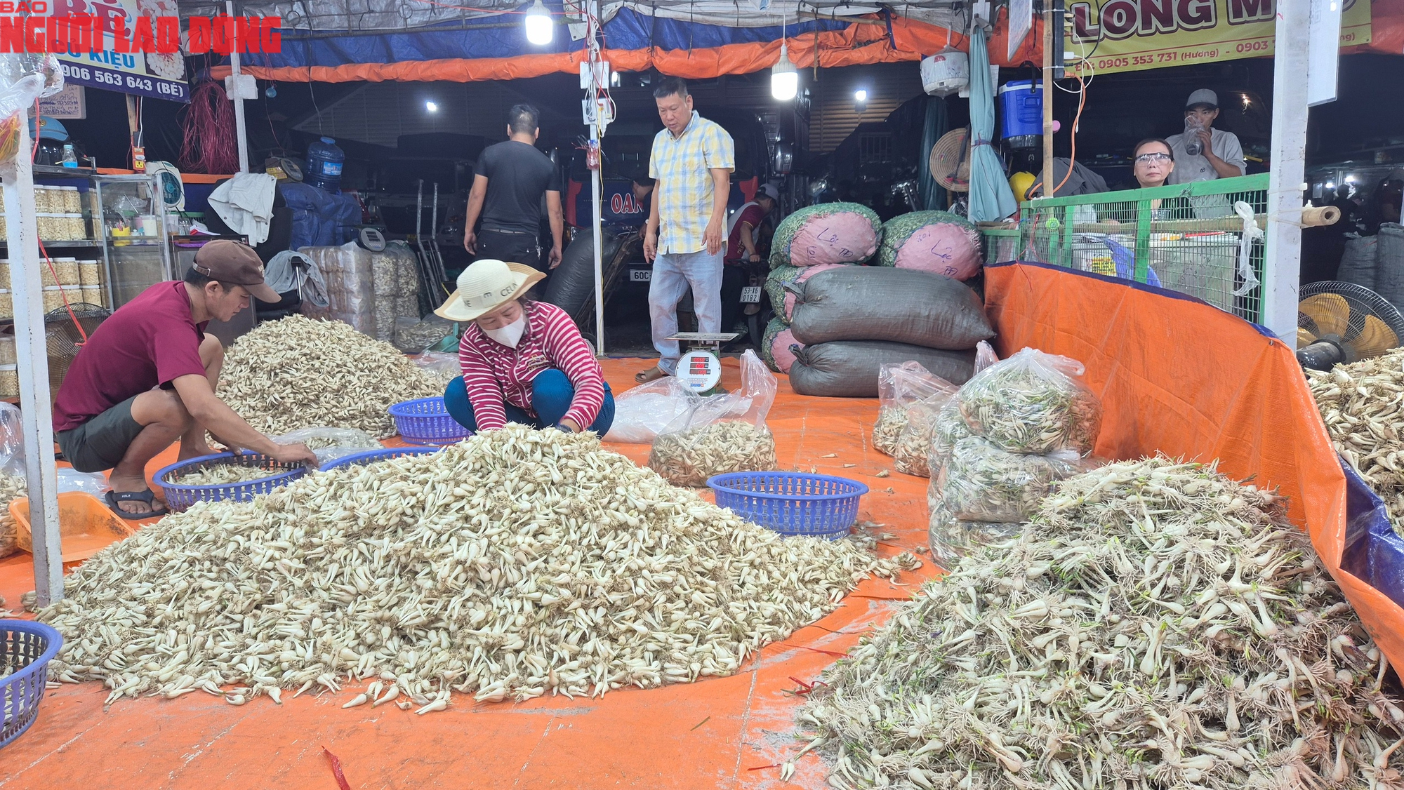 Cận cảnh khu chợ kiệu Tết lớn nhất TPHCM - Ảnh 5.