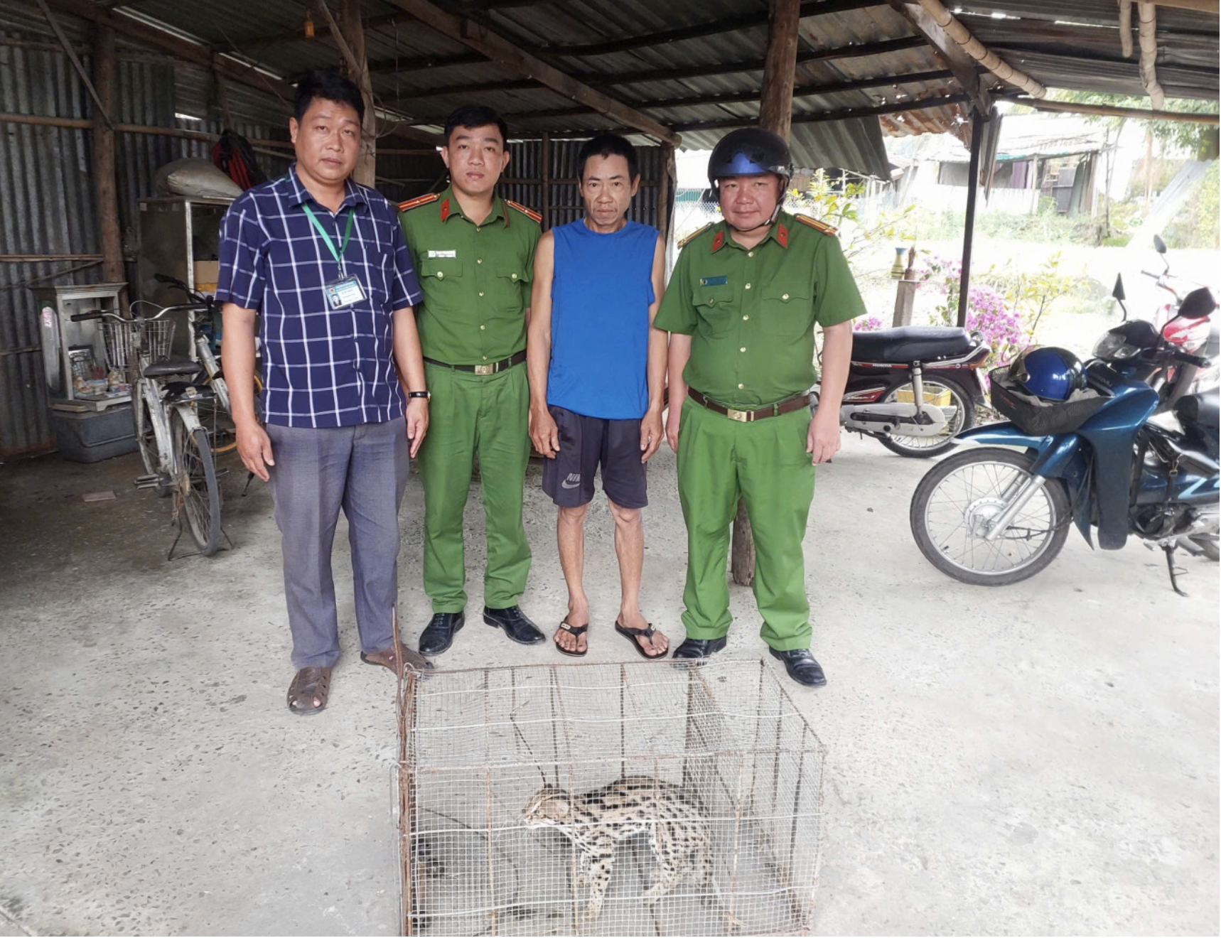 Cần Thơ phát hiện mèo cá qúy hiếm Sau khi Đặt bẫy gà mất - Ảnh 1.