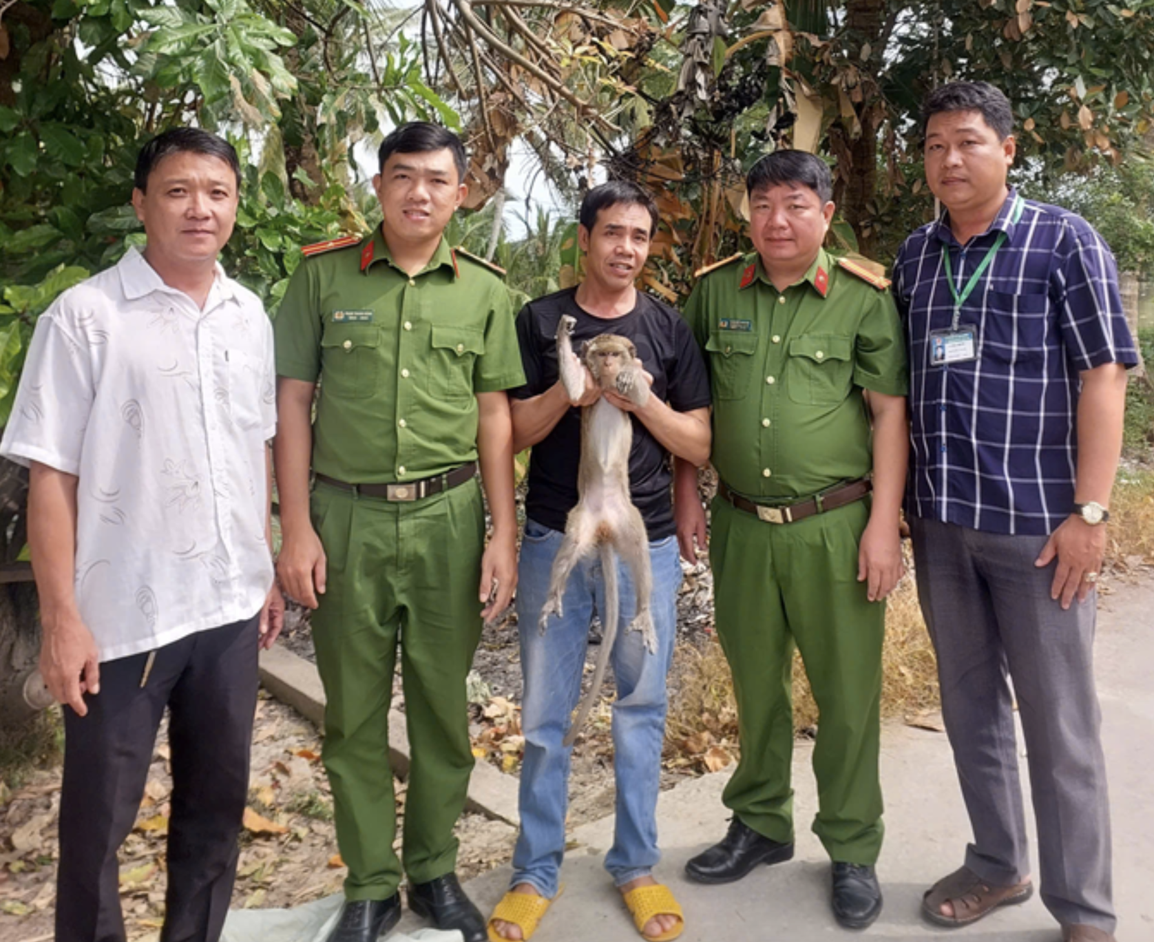 Cần Thơ phát hiện mèo cá qúy hiếm Sau khi Đặt bẫy gà mất - Ảnh 2.