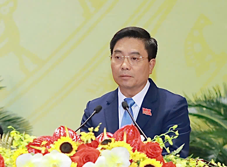 Giới thiệu B&iacute; thư Thanh H&oacute;a Nguyễn Do&atilde;n Anh ứng cử đại biểu Quốc hội kh&oacute;a XVI - Ảnh 1.