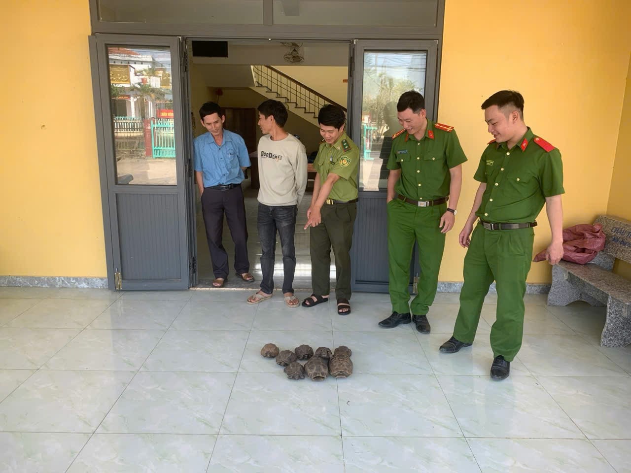 Người dân phát hiện 8 cá thể rùa núi vàng qúy hiếm bên đường - Ảnh 1.