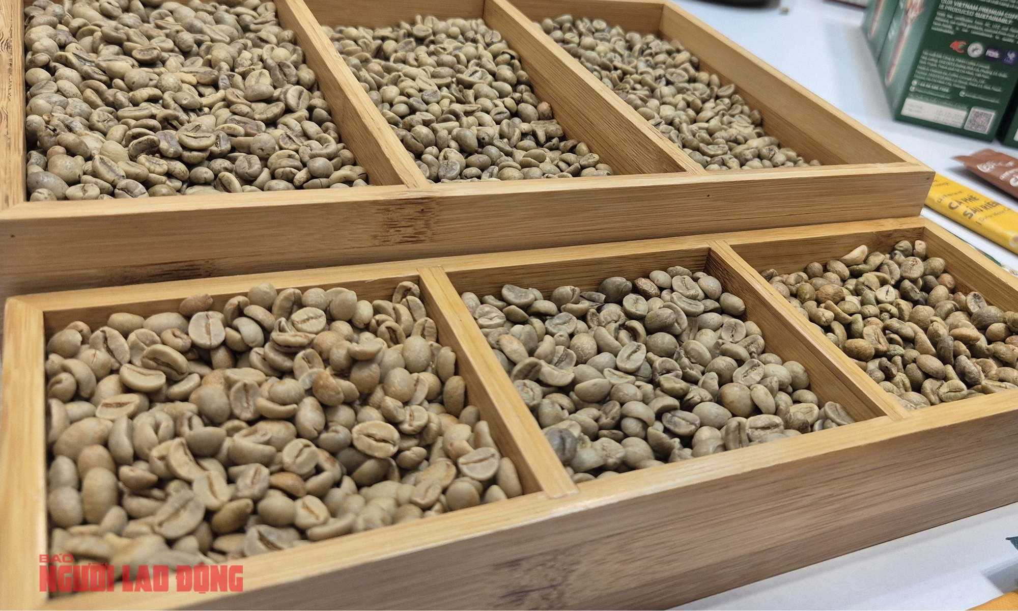 Giá cà phê hôm nay 15 - 1: Robusta giảm mạnh , thị trường sôi động - Ảnh 2.