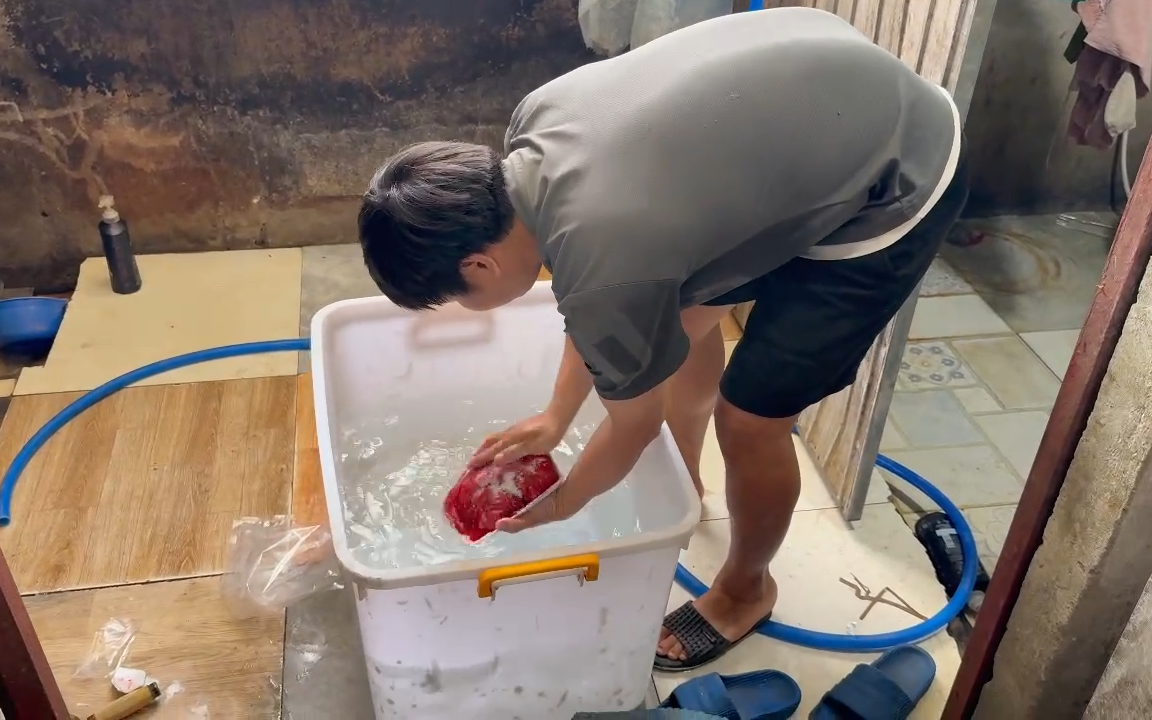 CLIP: Các "phù thuỷ" ở TPHCM hô biến thịt heo thành thịt nhím, nai, đà điểu
