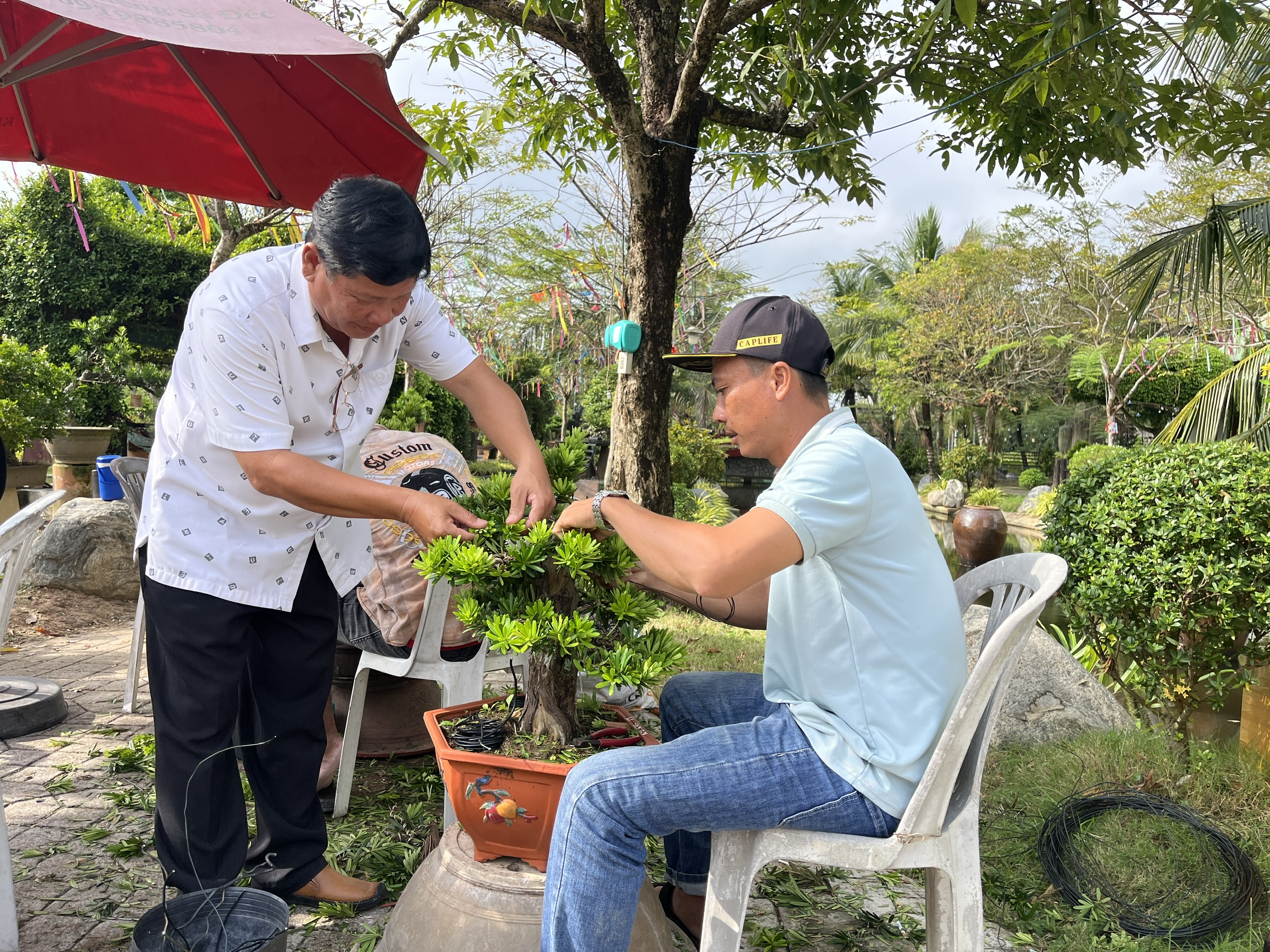 CLIP: Bảo tàng bonsai bạc tỉ ở Sa Đéc, tỉnh Đồng Tháp - Ảnh 3.