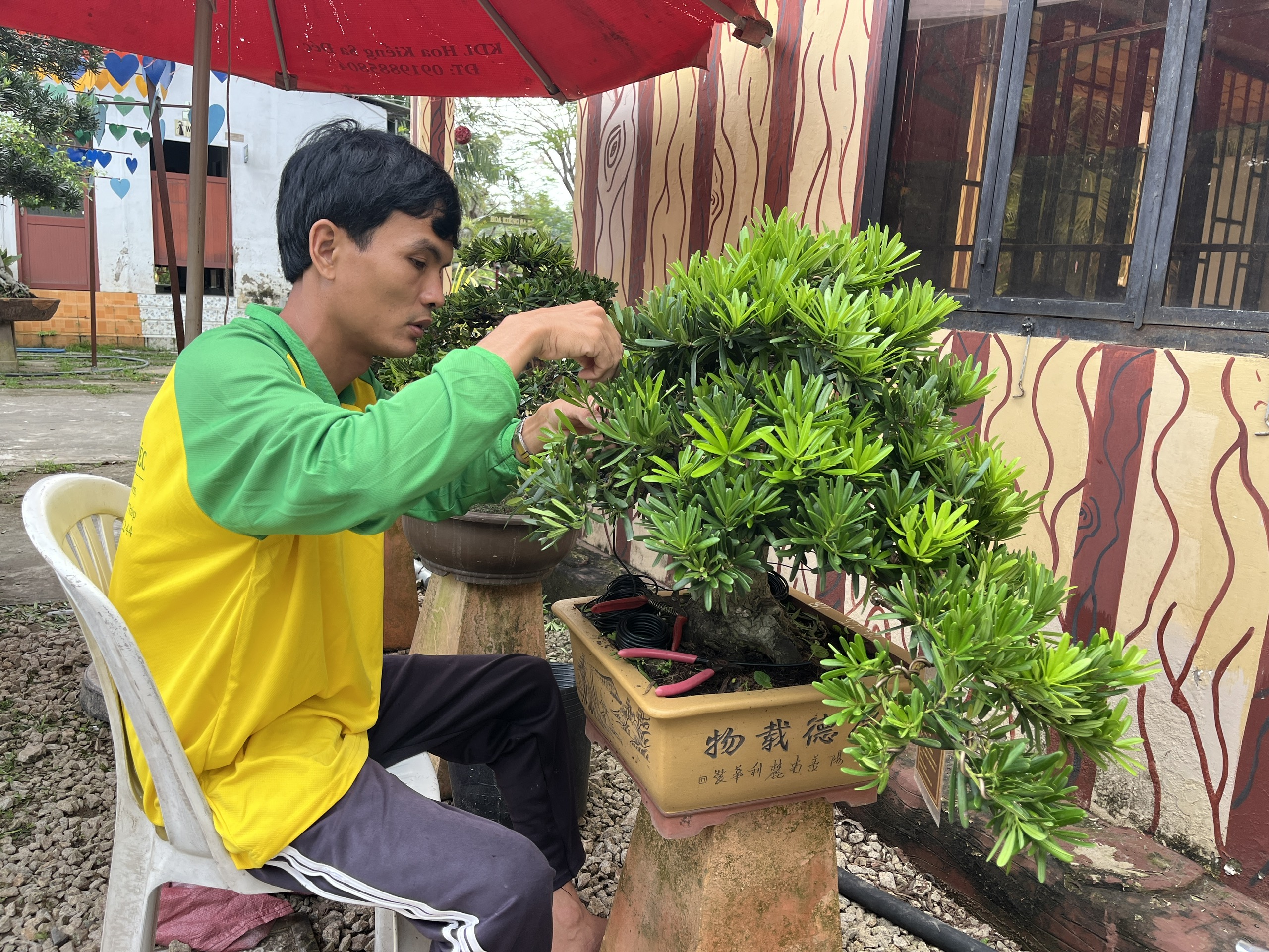 CLIP: Bảo tàng bonsai bạc tỉ ở Sa Đéc, tỉnh Đồng Tháp - Ảnh 4.