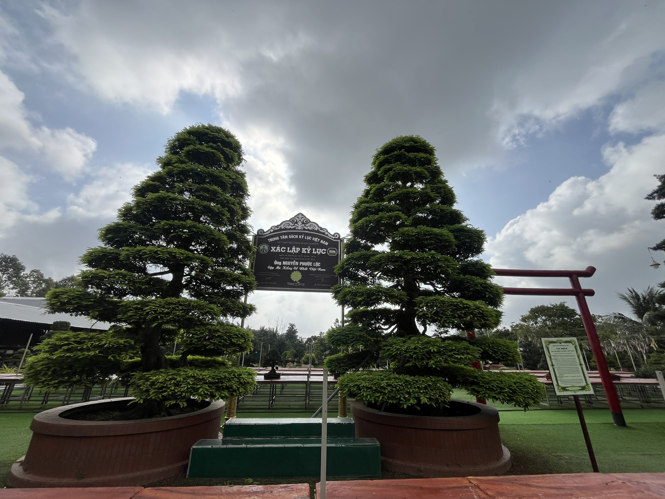 CLIP: Bảo tàng bonsai bạc tỉ ở Sa Đéc, tỉnh Đồng Tháp - Ảnh 7.