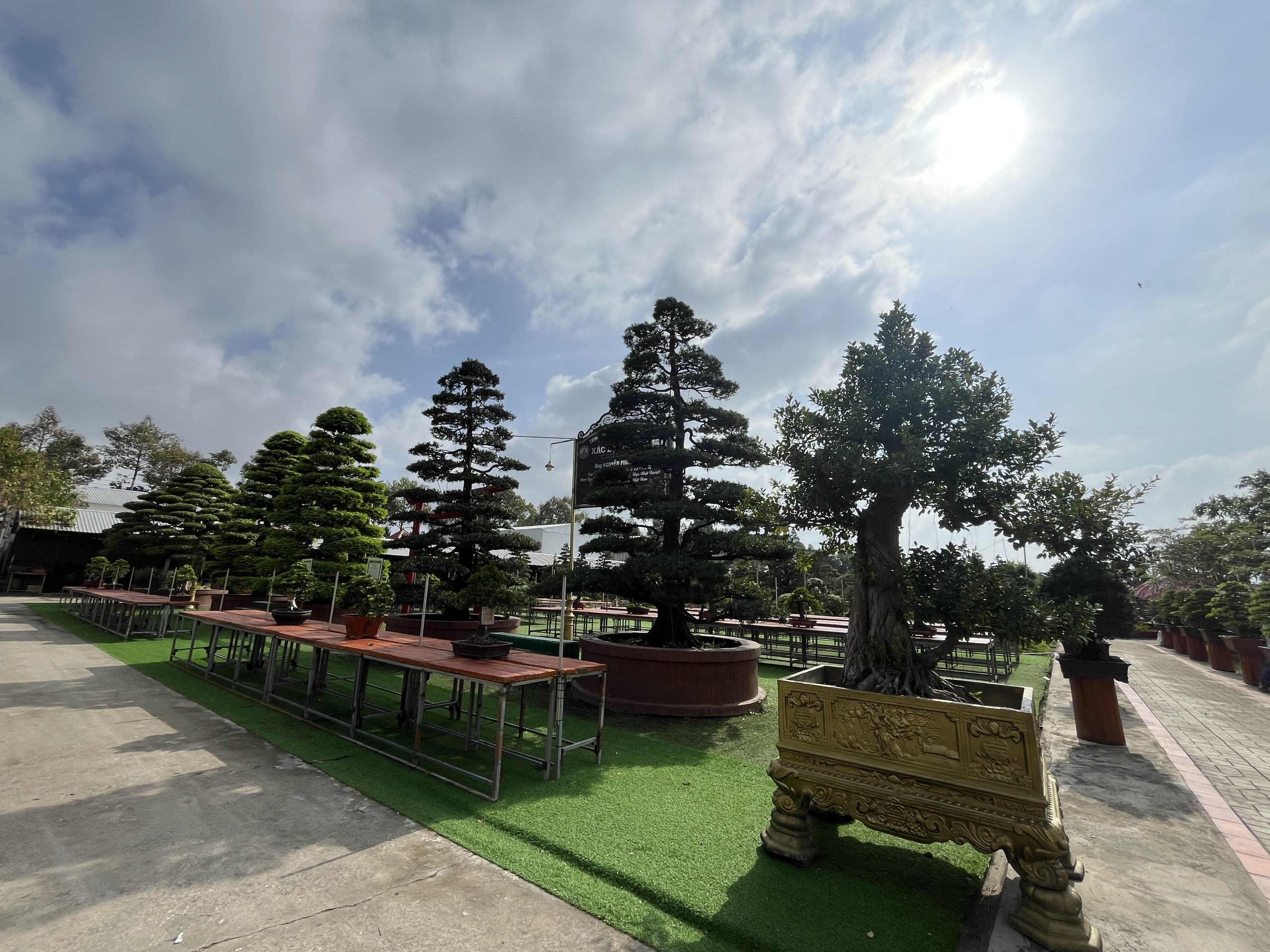 CLIP: Bảo tàng bonsai bạc tỉ ở Sa Đéc, tỉnh Đồng Tháp - Ảnh 8.
