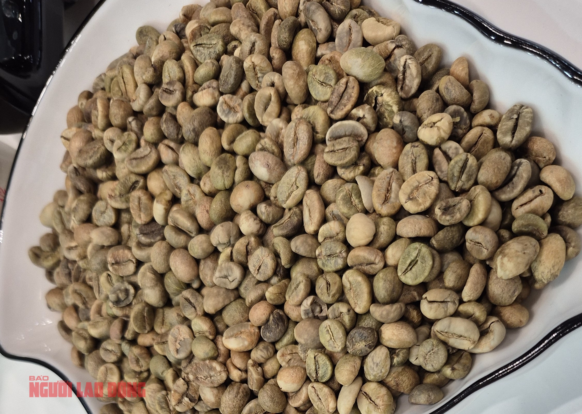 Gi&aacute; c&agrave; ph&ecirc; h&ocirc;m nay 20 - 1: Tăng nhẹ với Robusta trong bối cảnh thị trường - Ảnh 2.