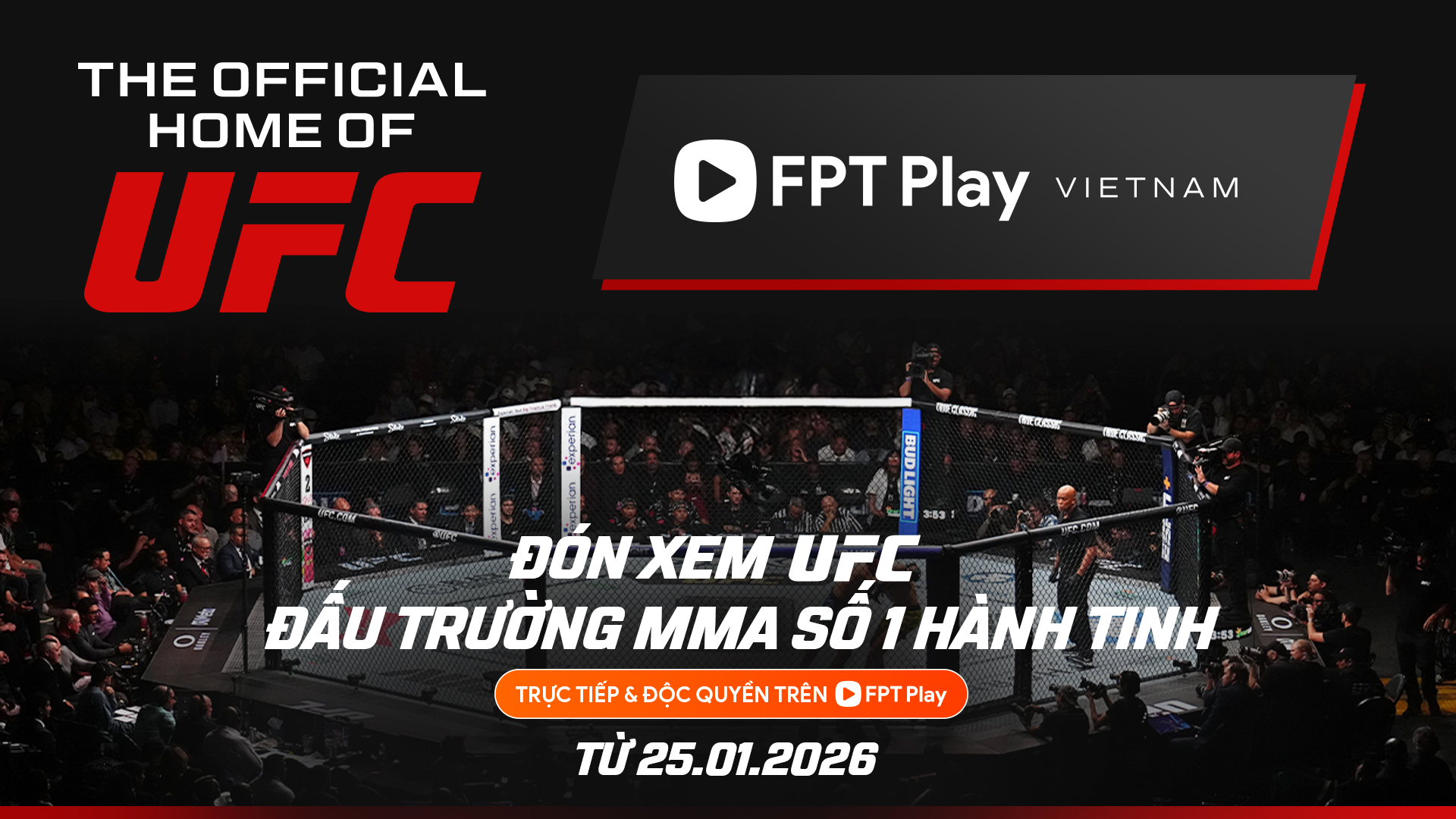 Kh&aacute;n giả Việt Nam c&oacute; nhiều cơ hội thưởng thức UFC - Ảnh 1.