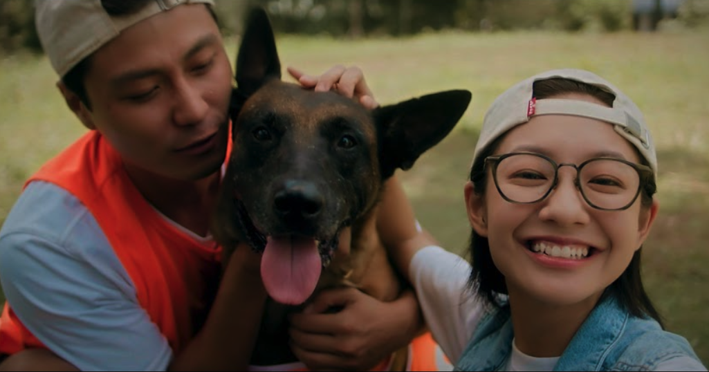 VTV lên sóng giờ vàng dòng phim chất lượng cao Miniseries - Ảnh 2.