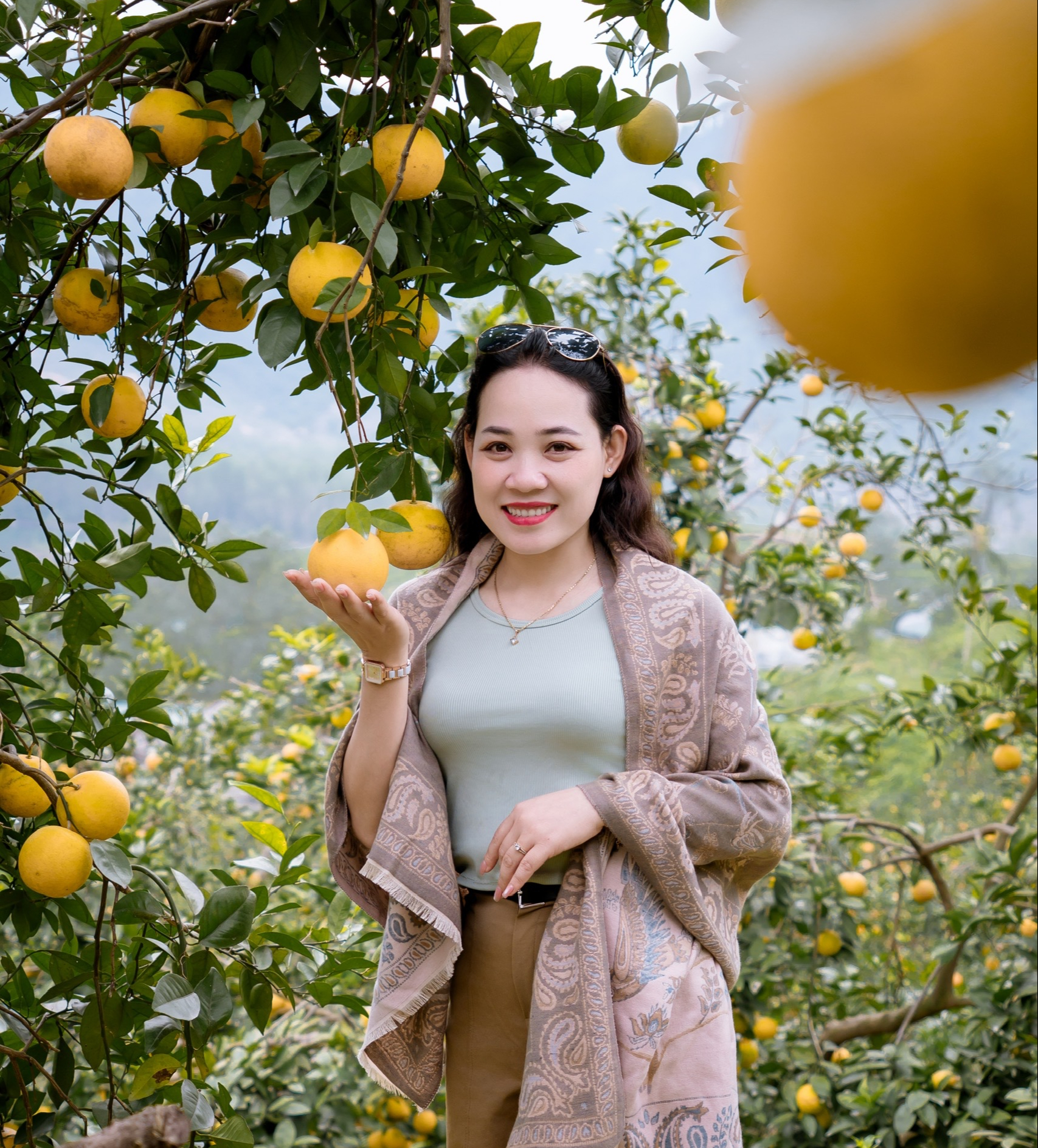 &ldquo;Lạc lối&rdquo; giữa những vườn cam ch&iacute;n v&agrave;ng, sai trĩu quả - Ảnh 2.