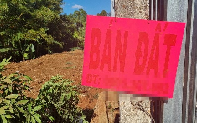 LẰN RANH: Vào tù nếu xù tiền cọc!