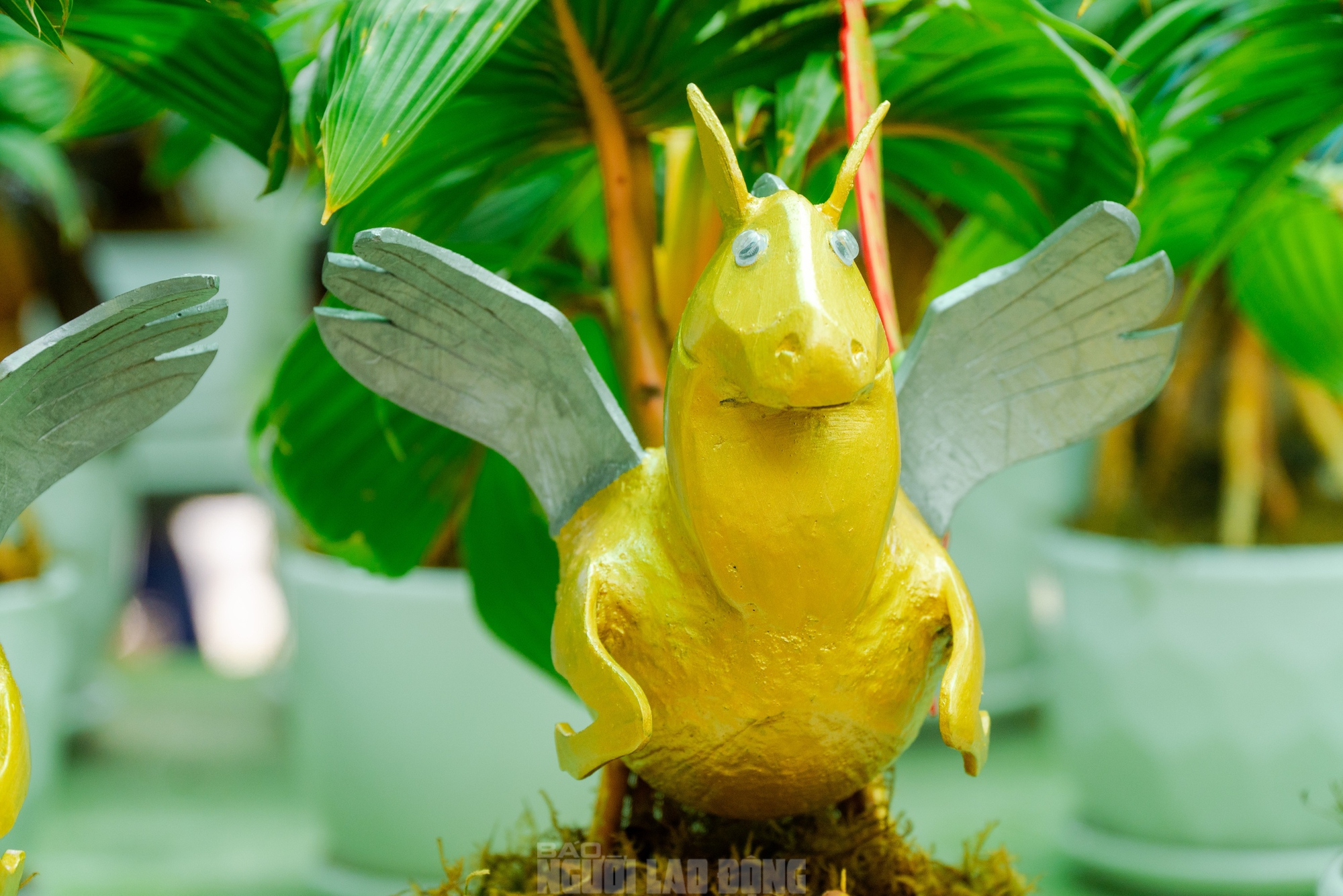 Dừa bonsai Mã đáo thành công: Nghệ thuật và kinh tế Tết Bính Ngọ 2026 - Ảnh 7.
