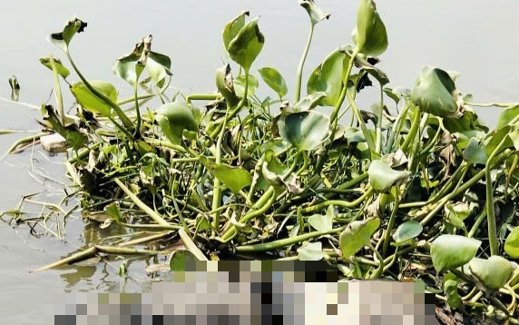 Liên tục phát hiện thi thể trôi sông ở TPHCM