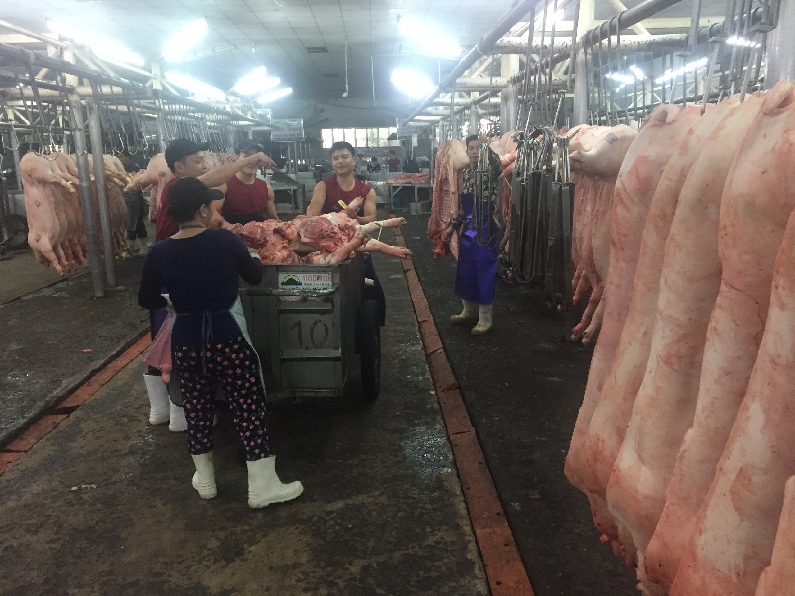 Gi&aacute; heo hơi h&ocirc;m nay, 26-1: Gi&aacute; heo ở chợ đầu mối tiếp tục tăng - Ảnh 1.