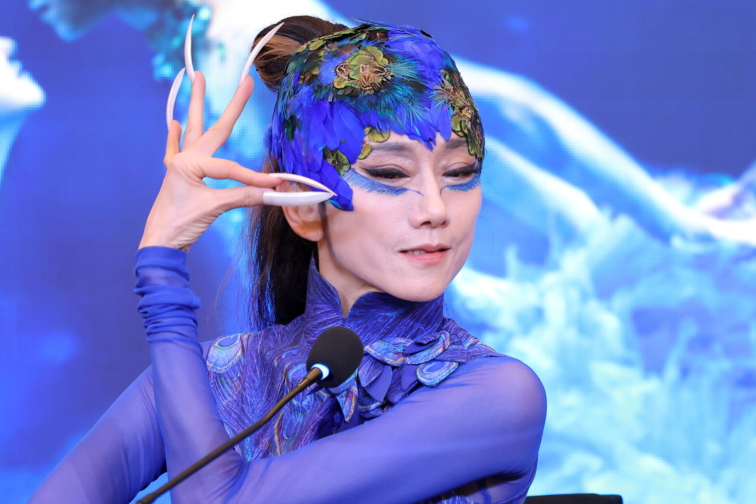 Nghệ sĩ Dương Lệ Bình lần đầu mang "Khổng tước" tới Hà Nội - Ảnh 2.