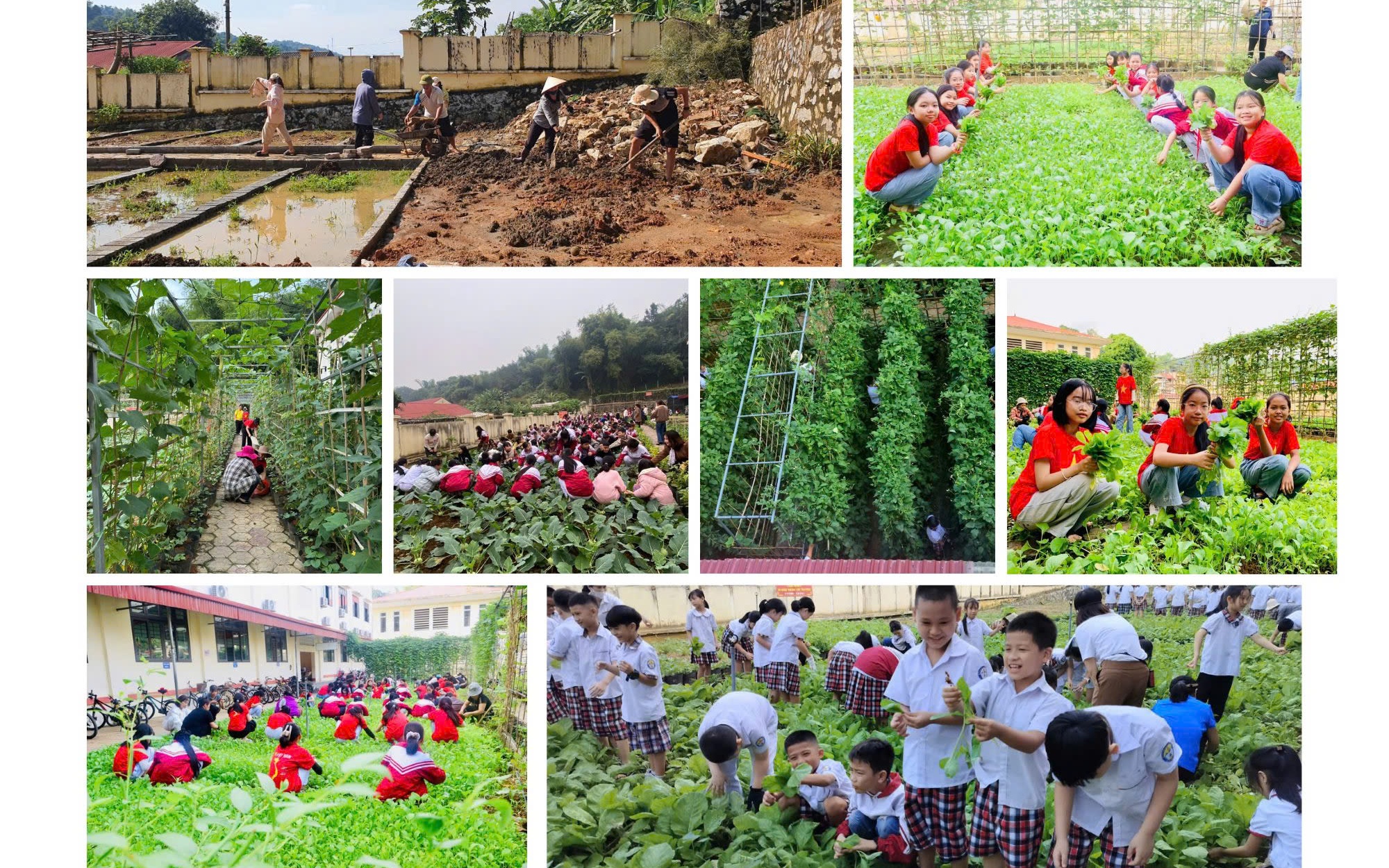 Sắp trao Giải thưởng Trường học sinh thái ASEAN 2025: Không rác thải nhựa