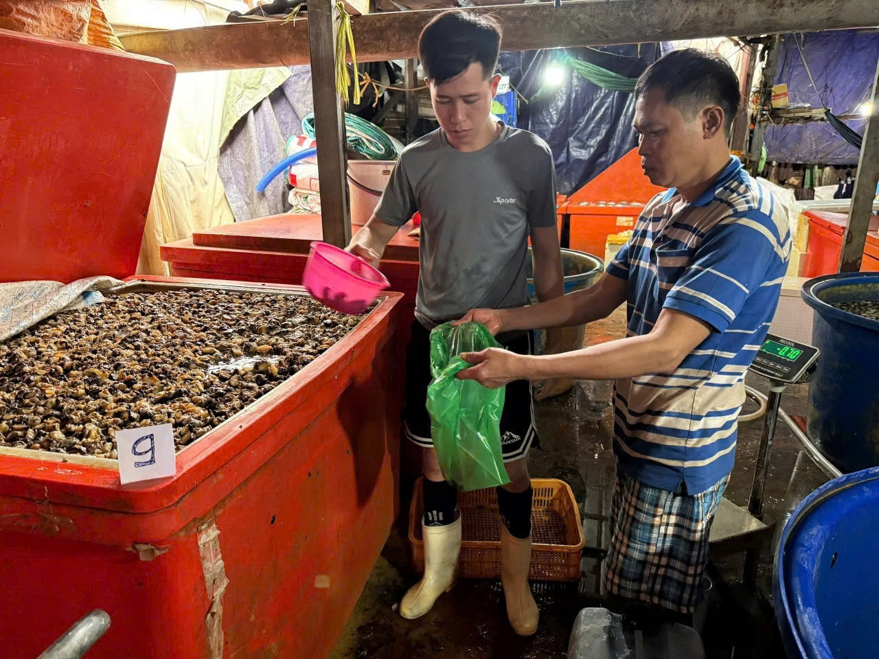 C&ocirc;ng an TPHCM c&ocirc;ng bố h&igrave;nh ảnh b&ecirc;n trong cơ sở ng&acirc;m ốc bươu bằng ho&aacute; chất - Ảnh 2.