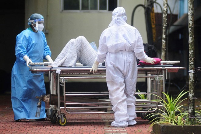 Virus Nipah quay lại, tỉ lệ tử vong tới 75%, Việt Nam siết chặt phòng dịch - Ảnh 1.
