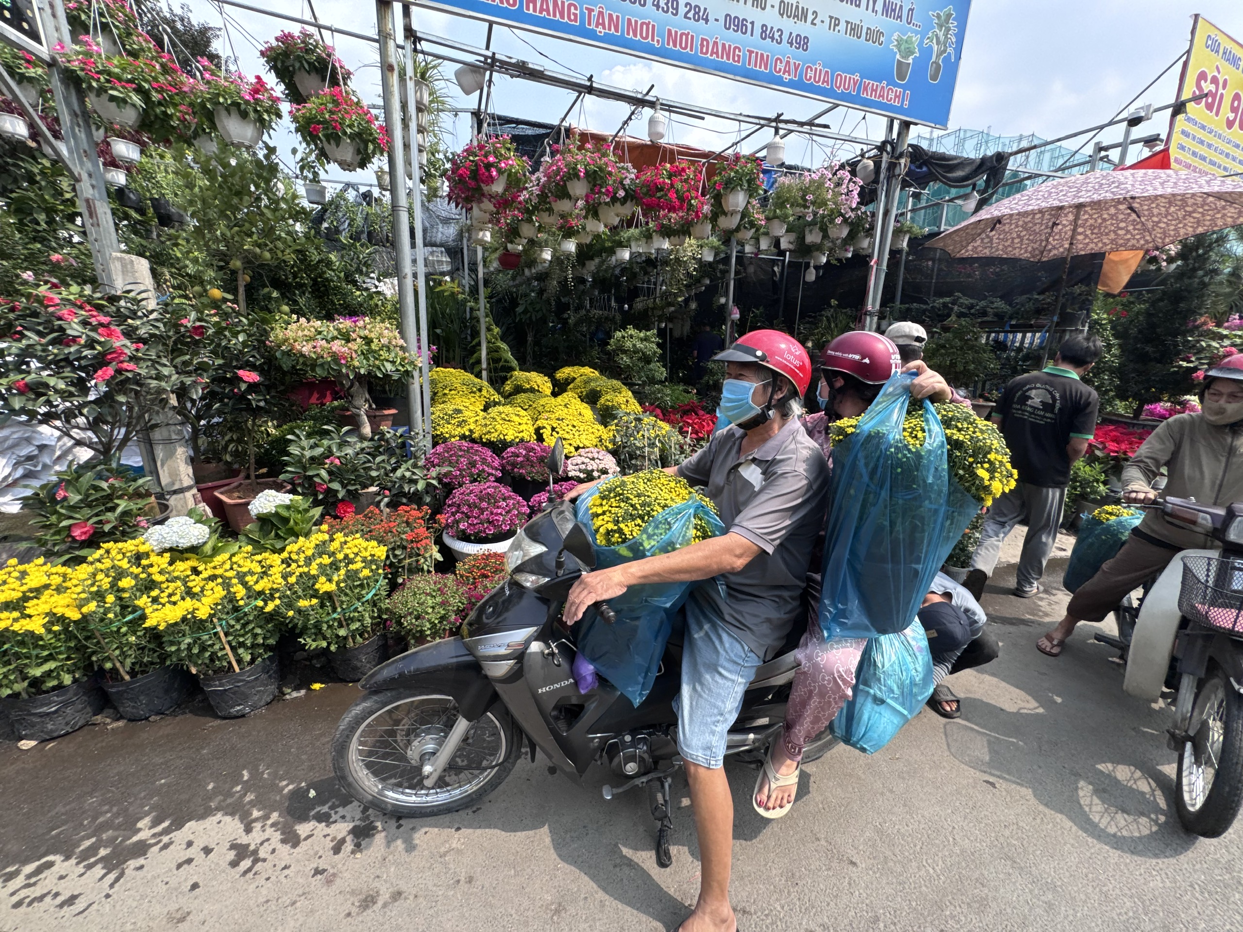 Hoa kiểng Tết 2026 nhộn nhịp tại TP HCM , giá cả hợp lý - Ảnh 2.